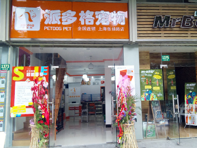 宠物美容学员开店之上海浦东店