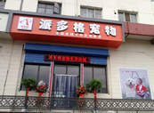 山西大同宠物美容店