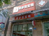 深圳龙岗宠物美容店