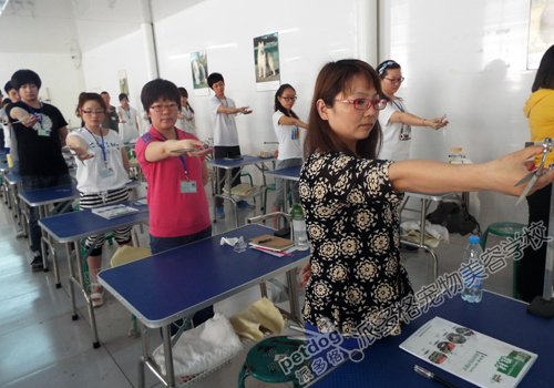 派多格宠物美容师