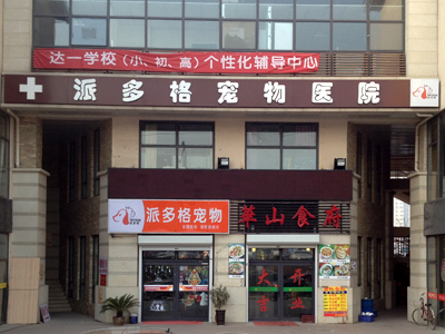 北京朝阳宠物美容店