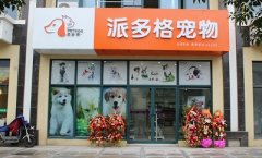 派多格南京宠物美容店