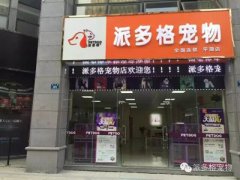 热烈庆祝浙江嘉兴平湖宠物美容新店盛大开业!