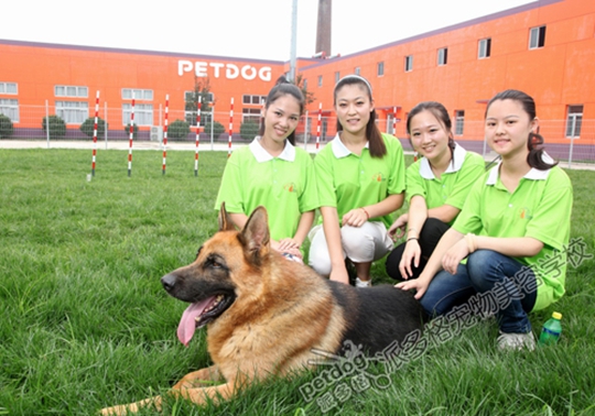 宠物美容学校